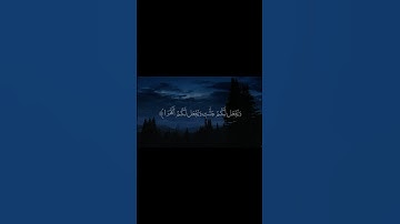 القارئ الشيخ عبدالله القرافي