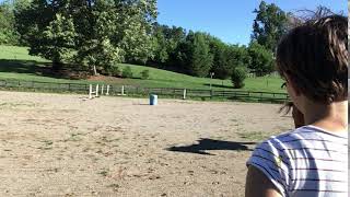 IMG 5516