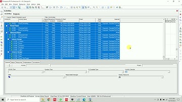 How to change project Calendar & Activity Calendar with Fill down Option in Primavera P6