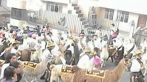 VTS 01 2 Caporales Angamarca (Quito - Aida Leon 20...