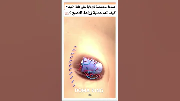 كيف تتم عمليه زراعة الاصبع شير كيف ليك مشاهير شاهد كيفية ليكات متابعه مشهد يوتيوب قلب 