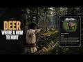 Infinite Deer EASY Farm - Walkthrough - Crimson Desert