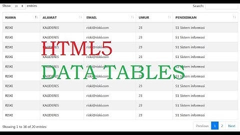 Cara Menggunakan Plugin Data Tables
