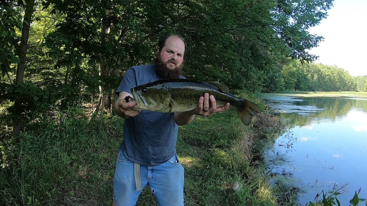 pond fishing! big bass and a decent channel cat! Bass Manager The