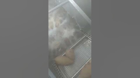 Table top small continuous fryer machine