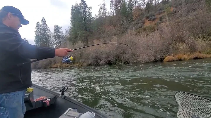 Salmon & Steelhead Fishing on the Klamath River wi...