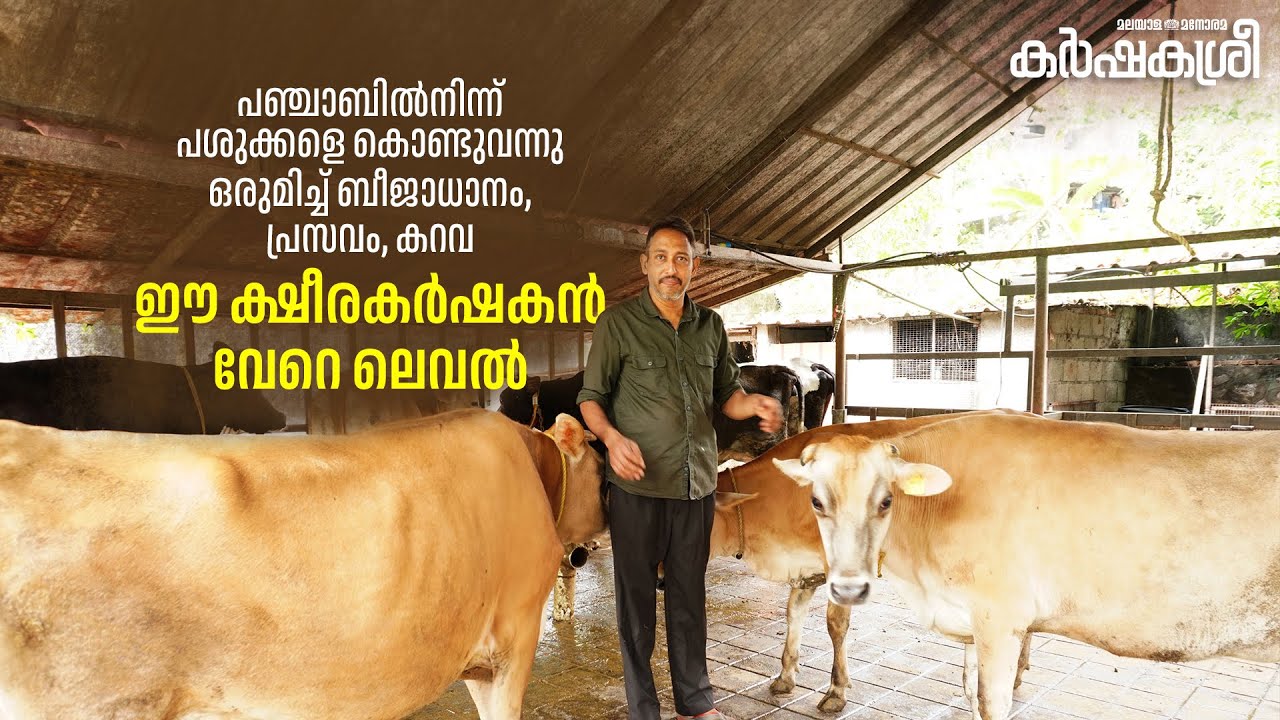 ഒരുമിച്ച് ബീജാധാനം, പ്രസവം, കറവ; ഈ ക്ഷീരക‍‍‍ർഷകൻ വേറെ ലെവൽ; ഓരോ ക‍ർഷകനും ബ്രീഡറാകണം | Karshakasree