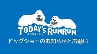 【お知らせ/お願い】アランがドッグショーに出場します　Great Pyrenees　グレートピレニーズ