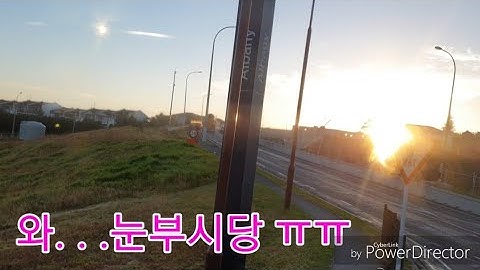 뉴질랜드 2층 버스 브이로그! 눈부신 풍경과 자연?!