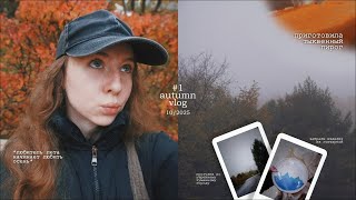 :  autumn vlog #1 // ,   ,      
