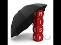 PMI-RMP Risk Management Professional