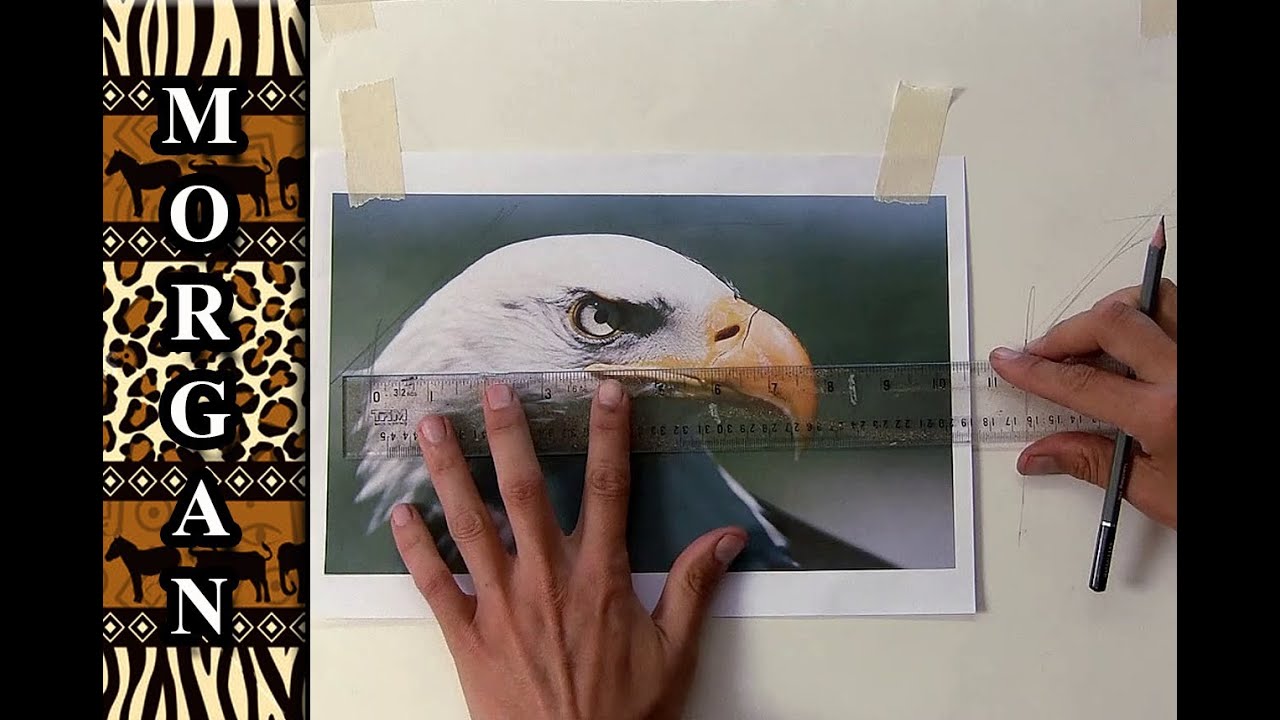 How to Transfer a Drawing to Canvas for Painting — Caleigh Bird Art