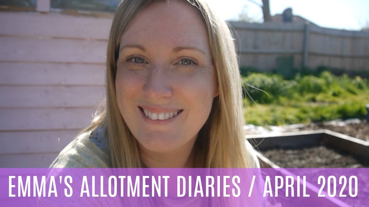 Дневники Эммы по садоводству / Апрель 2020 / Создание полки