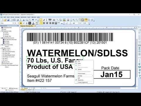 Working with Multiple BarTender Templates