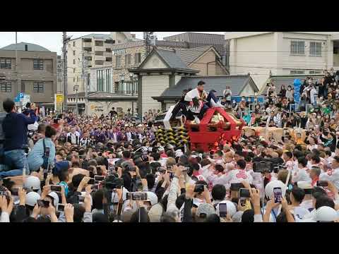 松山秋祭り2023本宮 道後鉢合わせ喧嘩神輿 小唐人大神輿 vs 持田連合大神輿