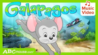 🐢🐧 'Galapagos Adventure': Sing Along and Discover Penguins and Turtles | ABCmouse Search & Explore 🌴