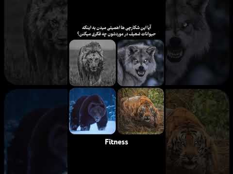 آدم ها هم همینطور