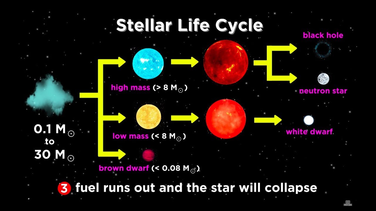 The Life And Death Of Stars: White Dwarfs, Supernovae, Neutron Stars, And  Black Holes - Youtube
