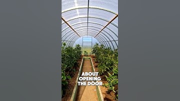 The Deadly Mistake Killing Plants in Polytunnels
