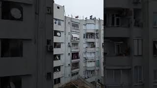 Antalyaya Şehir Merkezine Kar Yağdı