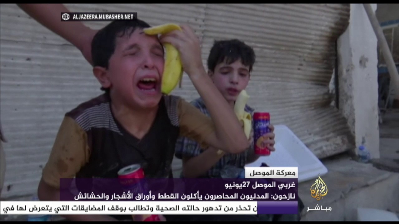 النازحون في الموصل يأكلون القطط والحشائش ويشربون المياه الملوثة