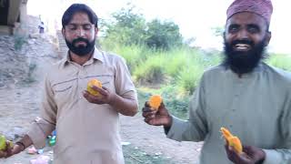 A Village Story - Part 2 - Funny Comedy Video - Faisal Studio Fs