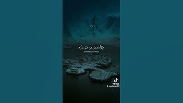 سورة لقمان بصوت اسلام صبحي #tiktok