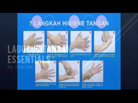 Lagu Cuci Tangan  7 Langkah YouTube