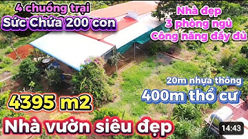 🚨BÁN GẤP! Nhà Vườn Cây Ăn Trái + Chuồng Trại Sức Chứa 200 Con – 400m² Thổ Cư – GIÁ CẮT LỖ SÂU!