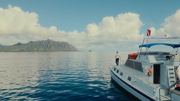 Take Your Graduate Education Beyond Boundaries at HPU