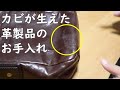 【カビが生えた】革製品のお手入れをしていく！【メンテナンス｜レザー｜ラナパー｜革の達人】