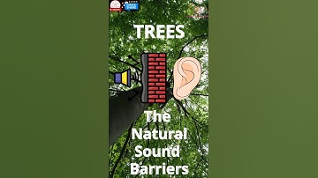 🌳 Know How Trees Reduce Noise Pollution! 🌿 | Nature’s Soundproofing 🌎