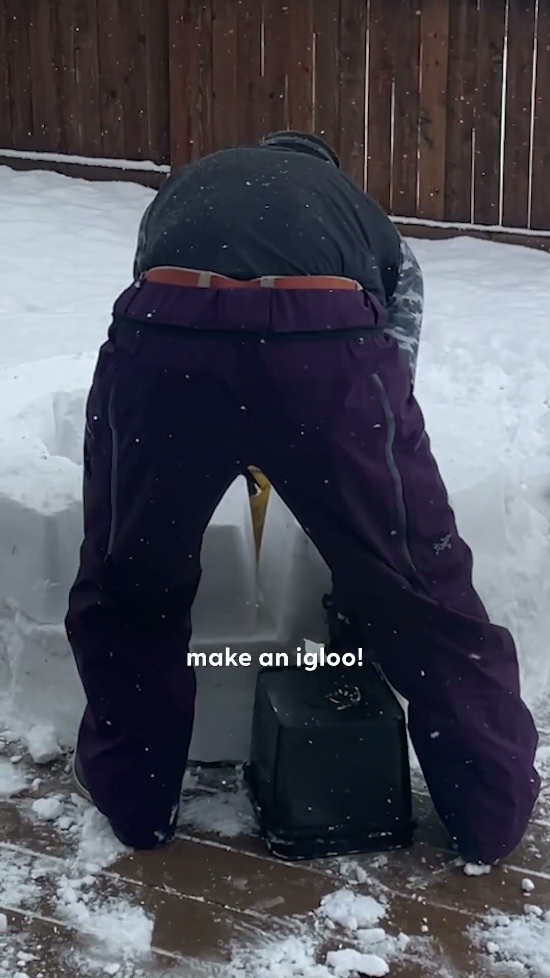 Couple Builds Igloo For Husky Who Can't Play In Snow | The Dodo