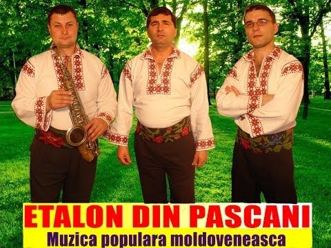 Etalon din Pascani - Muzica moldoveneasca de petrecere (AUDIO HD SPIROS GALATI)