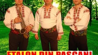 Etalon din Pascani - Muzica moldoveneasca de petrecere (AUDIO HD SPIROS GALATI)