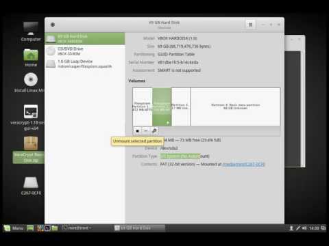 VeraCrypt EFI Troubleshoot with Linux Mint