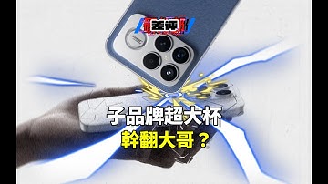 價格低配置頂，子品牌超大杯造反了？