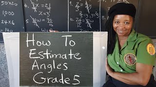 Famous PEP Maths : Angles: Estimating Angles. Grade 5 Mathematics. Primary Exit Profile Net Worth