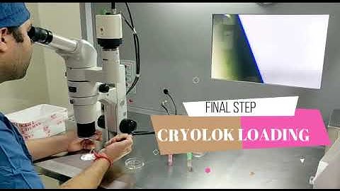 VITRIFICATION - Storage Of Embryo