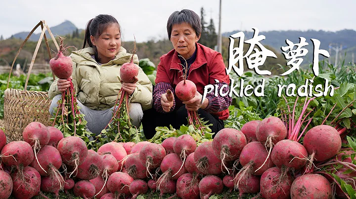 Grandma soaks sour radish & pickles cabbage  gold & red  crisp & sour. - DayDayNews
