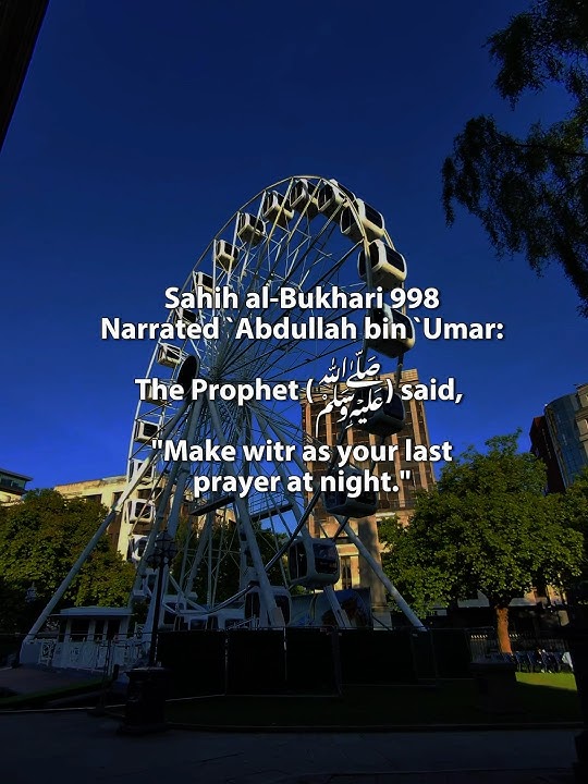Hadith ‼️ about Isha Prayer #isha #nightprayer  #sahihbukhari #hadith #salah #witrprayer