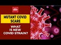 Mutant Coronavirus Scare: Modi Govt Denies New Covid Strain Rumours; What Is This New Strain?
