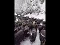 Kar ve Keçi