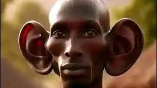 random memes i stole from the internet ylyl 79