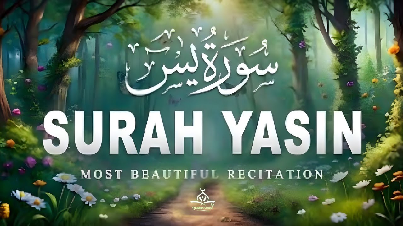 Surah Yaseen سورة يس | Soothing & Beautiful Recitation for Inner Peace by Alaa Aqel Qurans Voice 
