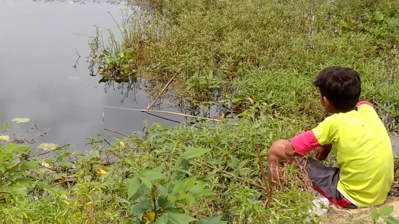 TRADITIONAL FISHING USING FISH HOOK IN BANGLADESHI VILLAGE 
