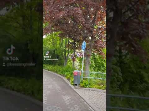 ميتا اشوفك يا غايب عن عيني حاله واتساب جميله جدا