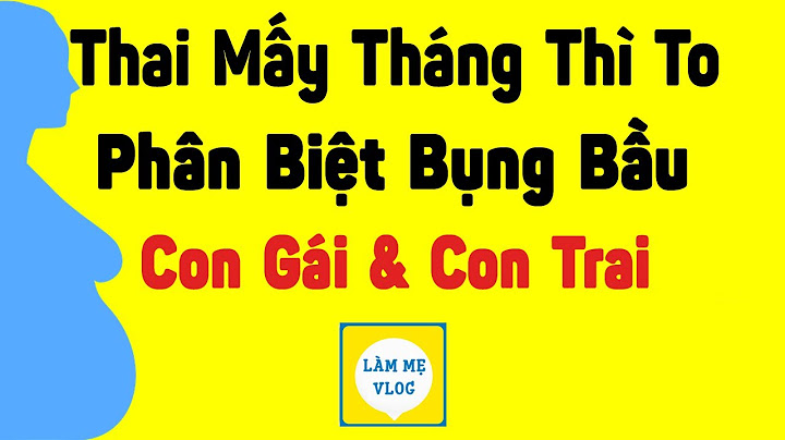 Có bầu bụng to và tròn là con gì