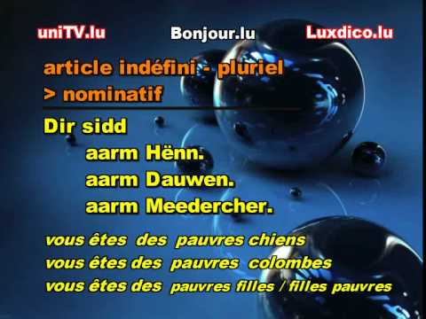 apprendre le luxembourgeois (lulling): clip27 les adjectifs