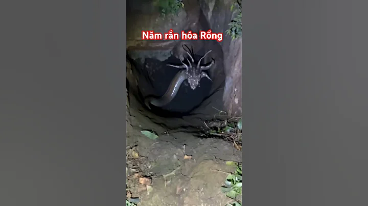 Năm rắn hóa Rồng có phải là thật #memes #duet #phatphap #giaitri #thichminhtue #shorts